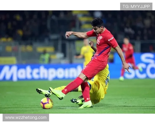 弗罗西诺内俱乐部迎接新赛季挑战 提升阵容实力目标直指意甲中游